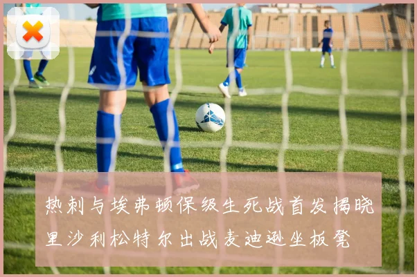 热刺与埃弗顿保级生死战首发揭晓里沙利松特尔出战麦迪逊坐板凳