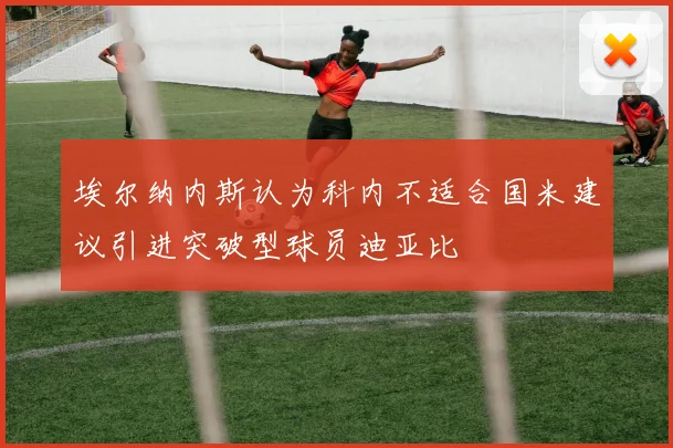 埃尔纳内斯认为科内不适合国米建议引进突破型球员迪亚比