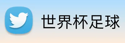 世界杯足球 Logo